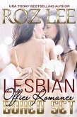 Lesbian Office Romance Boxed Set (eBook, ePUB)