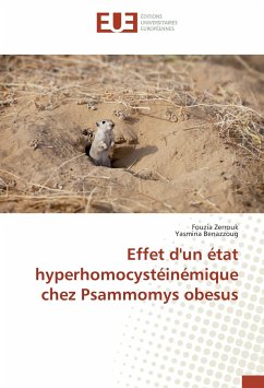 Effet d'un état hyperhomocystéinémique chez Psammomys obesus - Zerrouk, Fouzia;Benazzoug, Yasmina