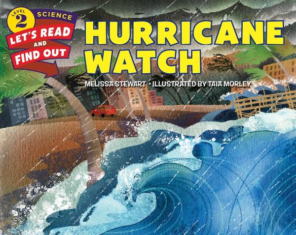 Hurricane Watch (eBook, ePUB)