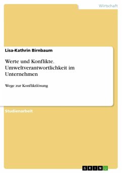 Werte und Konflikte. Umweltverantwortlichkeit im Unternehmen - Birnbaum, Lisa-Kathrin