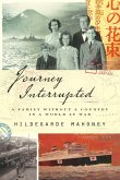 Journey Interrupted (eBook, ePUB)
