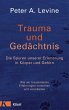 Trauma und Gedächtnis (eBook, ePUB) - Bild 1