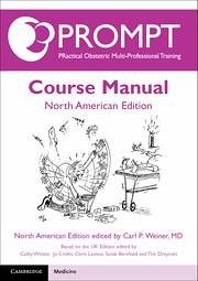 Prompt Course Manual - Weiner, Carl P