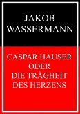 Caspar Hauser oder Die Trägheit des Herzens (eBook, ePUB)