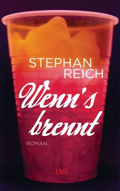 Wenn's brennt (eBook, ePUB) - Reich, Stephan