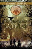 Der geheimnisvolle Bannfluch / Die Eichenwaldsaga Bd.1