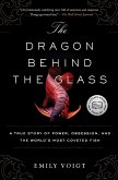The Dragon Behind the Glass (eBook, ePUB)