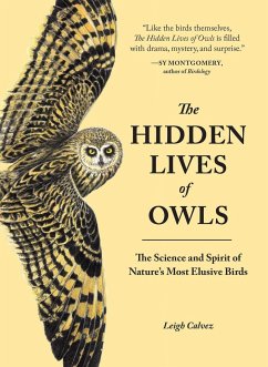 The Hidden Lives of Owls - Calvez, Leigh
