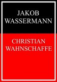 Christian Wahnschaffe (eBook, ePUB)
