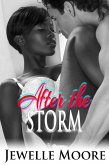 After the Storm (Interracial Erotic Romance) (eBook, ePUB)