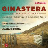 Orchesterwerke Vol.1-Pampeana 3,Op.24/+