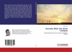 Somalia After the State Collapse - Ali, Nasir M.