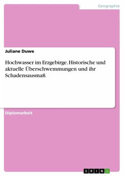 Hochwasser im Erzgebirge. Historische und aktuelle Überschwemmungen und ihr Schadensausmaß - Duwe, Juliane