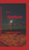 Streiflicht (eBook, ePUB)