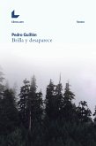 Brilla y desaparece (eBook, ePUB)