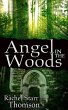 Angel in the Woods (eBook, ePUB) - Bild 1