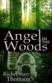 Angel in the Woods (eBook, ePUB)