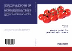 Genetic studies for productivity in tomato