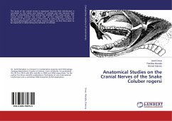 Anatomical Studies on the Cranial Nerves of the Snake Coluber rogersi - Omar, Amel;Mostafa, Rashika;Dakrory, Ahmed