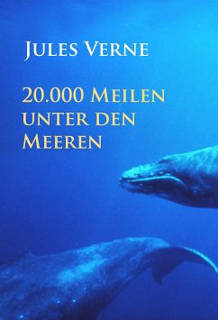 20.000 Meilen unter den Meeren (eBook, ePUB) - Verne, Jules
