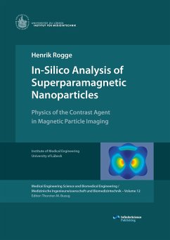 In-Silico Analysis of Superparamagnetic Nanoparticles - Rogge, Henrik