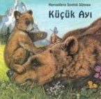 Kücük Ayi