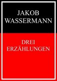 Drei Erzählungen (eBook, ePUB)