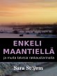 Enkeli maantiellä (eBook, ePUB) - Bild 1