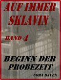 AUF IMMER SKLAVIN, Band 4 (eBook, ePUB)