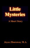 Little Mysteries -- A Short Story (Short Story Series, #1) (eBook, ePUB)