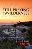 Still Praying in the Wilderness and Other Essays for the Spiritually Thirsty (eBook, ePUB)