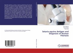 Setaria equina Antigen and Diagnosis of Human Filariasis