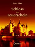Das Schloss im Feuerschein (eBook, PDF)