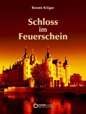 Das Schloss im Feuerschein (eBook, ePUB)