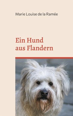 Ein Hund aus Flandern (eBook, ePUB)