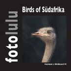 Birds of Südafrika (eBook, ePUB)