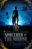 Sorcerer in the Mirror (Twinborn Chronicles, #2) (eBook, ePUB)
