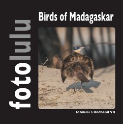 Birds of Madagaskar (eBook, ePUB) - Fotolulu