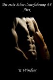 Die erste Schwulenerfahrung #8: Alex (eBook, ePUB)