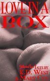 Love in a Box (eBook, ePUB)