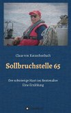 Sollbruchstelle 65 (eBook, ePUB)
