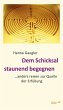 Dem Schicksal staunend begegnen (eBook,... - Bild 1