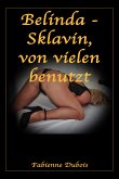 Belinda - Sklavin, von vielen benutzt (eBook, ePUB)