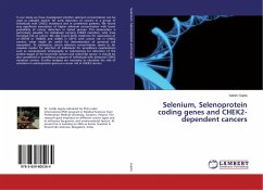 Selenium, Selenoprotein coding genes and CHEK2-dependent cancers