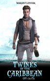 Twinks of the Carribean: Gay Erotik (eBook, ePUB)