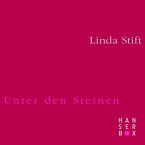 Unter den Steinen (eBook, ePUB)