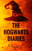 The Wizard Diaries (eBook, ePUB)