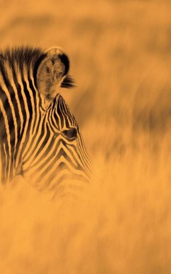 Alive! zebra stripes - Sepia - Photo Art Notebooks (5 x 8 series) - Jansson, Eva-Lotta