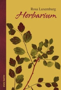 Herbarium - Luxemburg, Rosa