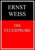 Die Feuerprobe (eBook, ePUB)
